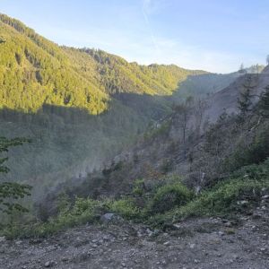 WaldbrandRein (1)